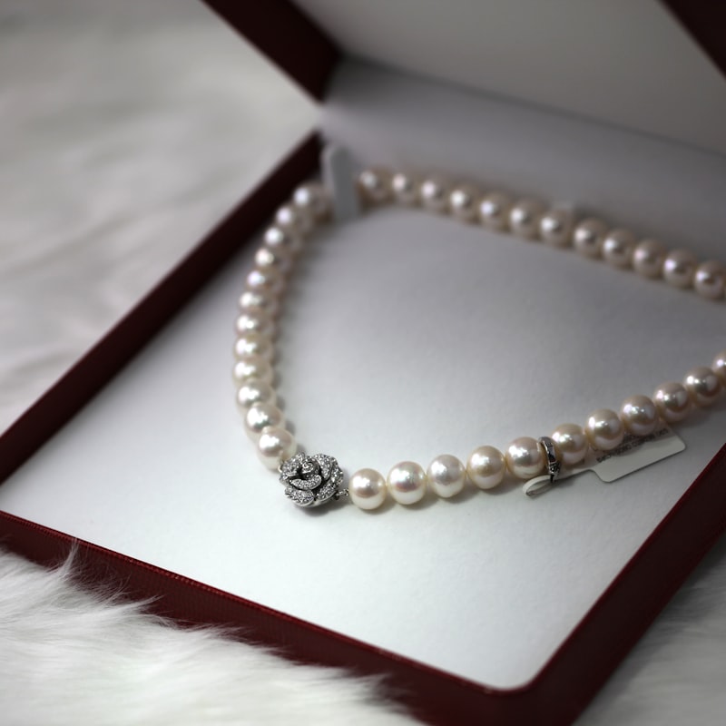 Double Micro-Set Zirconia Butterfly Necklace